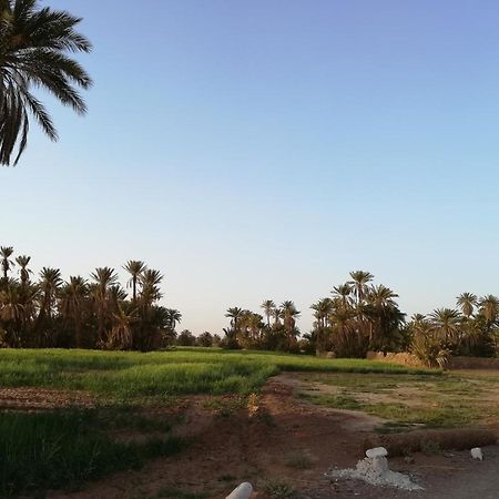 محاميد الغزلان Kasbah Les Alizes Du Desert المظهر الخارجي الصورة