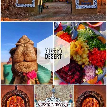 محاميد الغزلان Kasbah Les Alizes Du Desert المظهر الخارجي الصورة