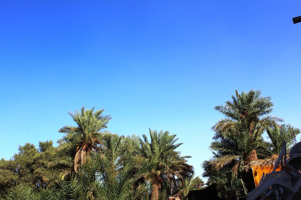 محاميد الغزلان Kasbah Les Alizes Du Desert المظهر الخارجي الصورة