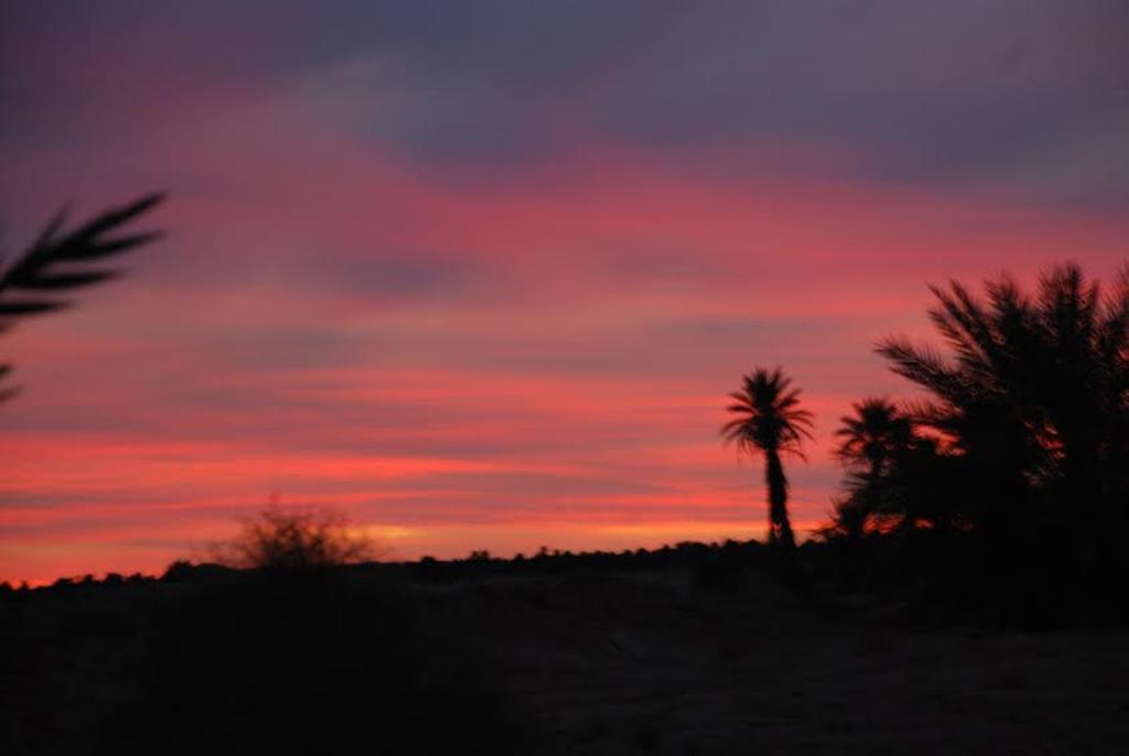محاميد الغزلان Kasbah Les Alizes Du Desert المظهر الخارجي الصورة