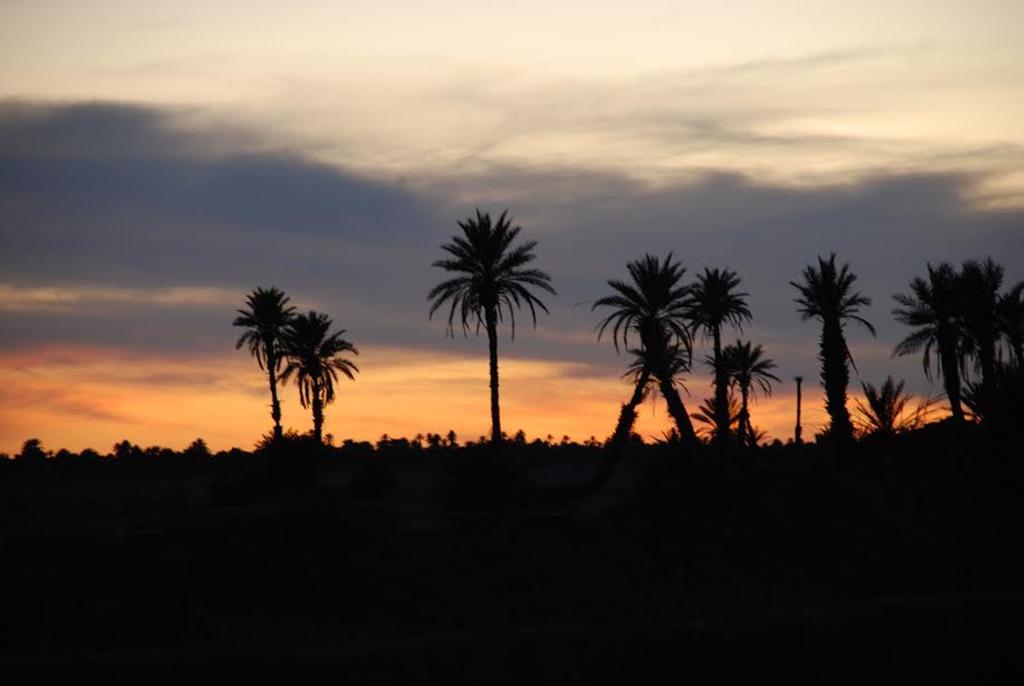 محاميد الغزلان Kasbah Les Alizes Du Desert المظهر الخارجي الصورة
