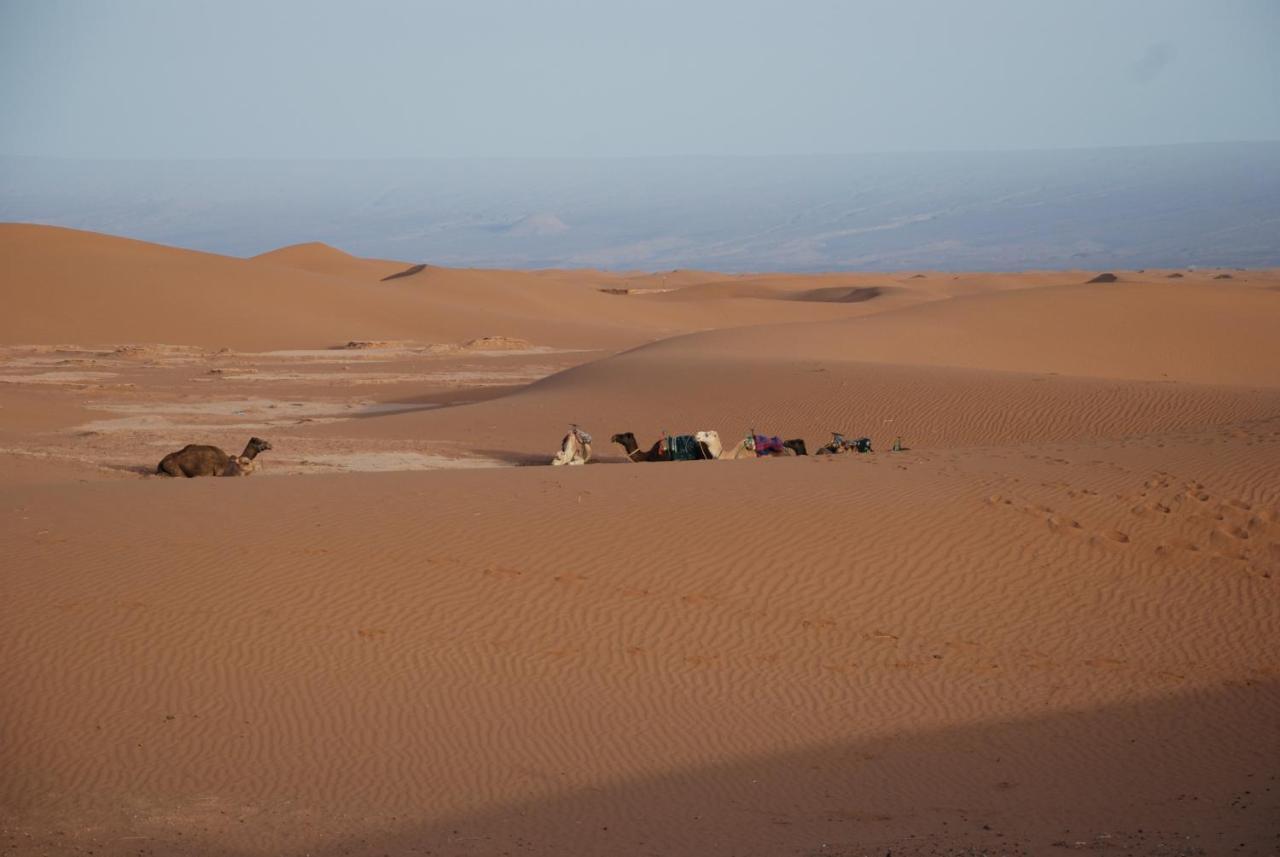 محاميد الغزلان Kasbah Les Alizes Du Desert المظهر الخارجي الصورة