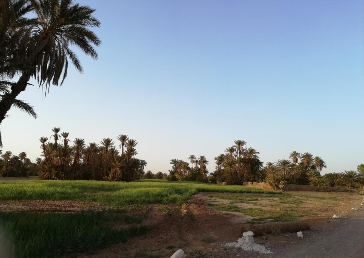 محاميد الغزلان Kasbah Les Alizes Du Desert المظهر الخارجي الصورة