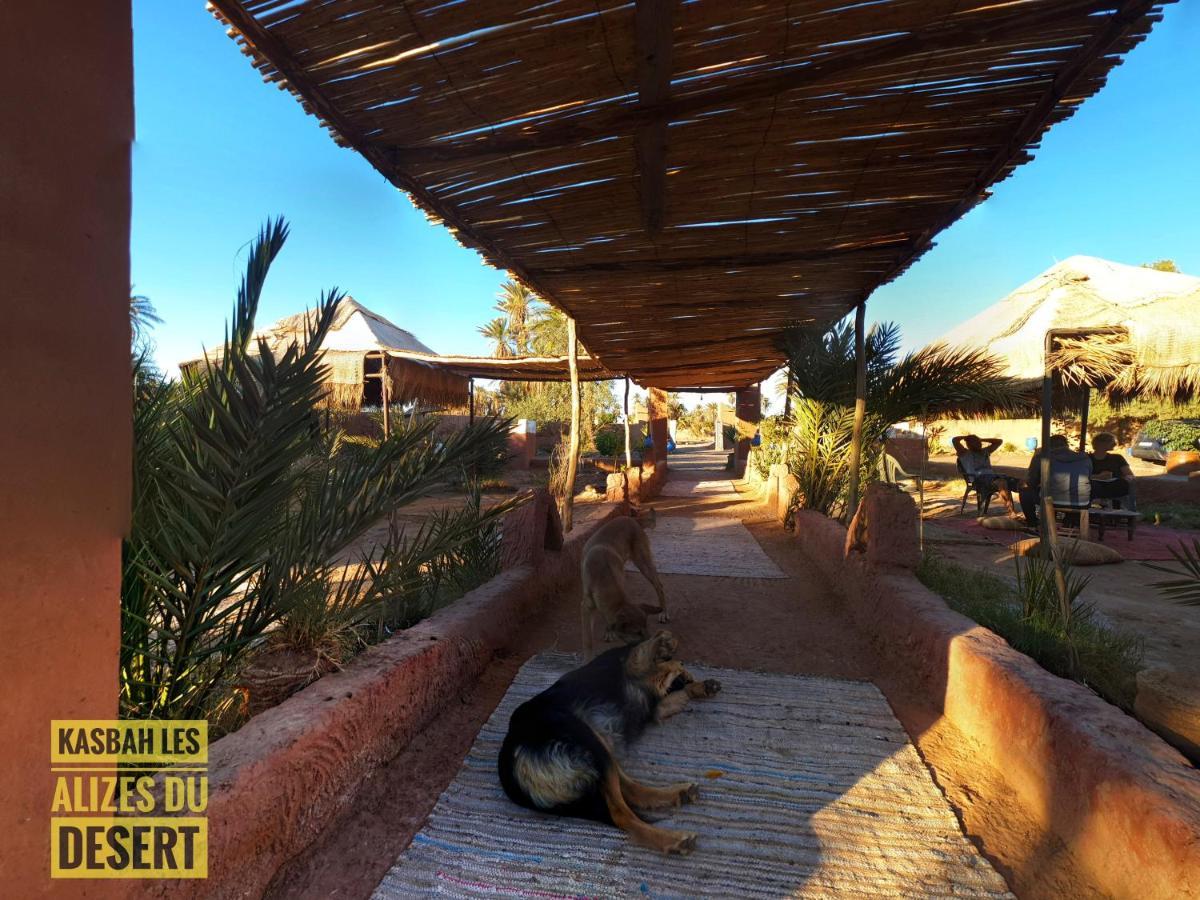 محاميد الغزلان Kasbah Les Alizes Du Desert المظهر الخارجي الصورة