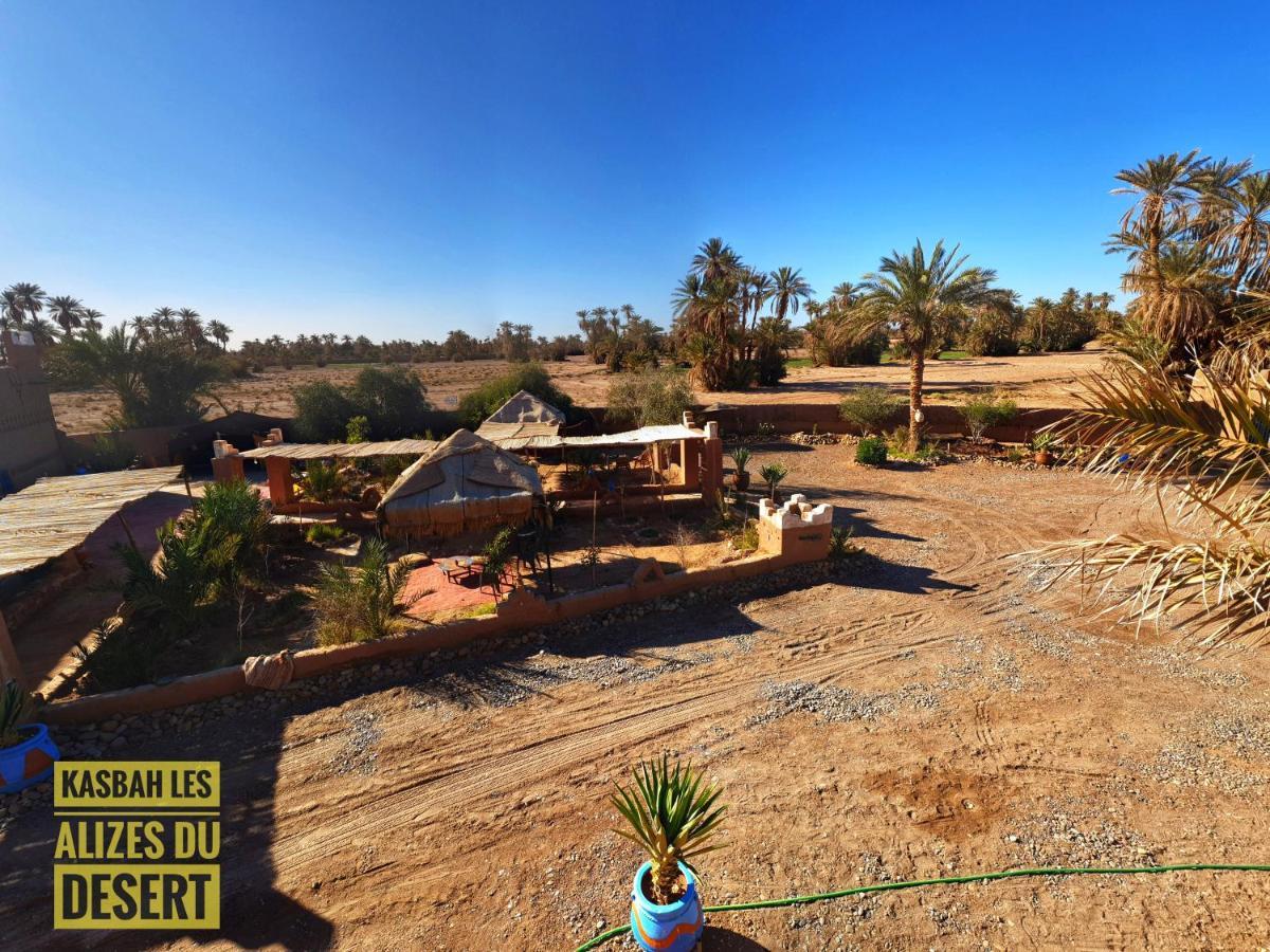 محاميد الغزلان Kasbah Les Alizes Du Desert المظهر الخارجي الصورة